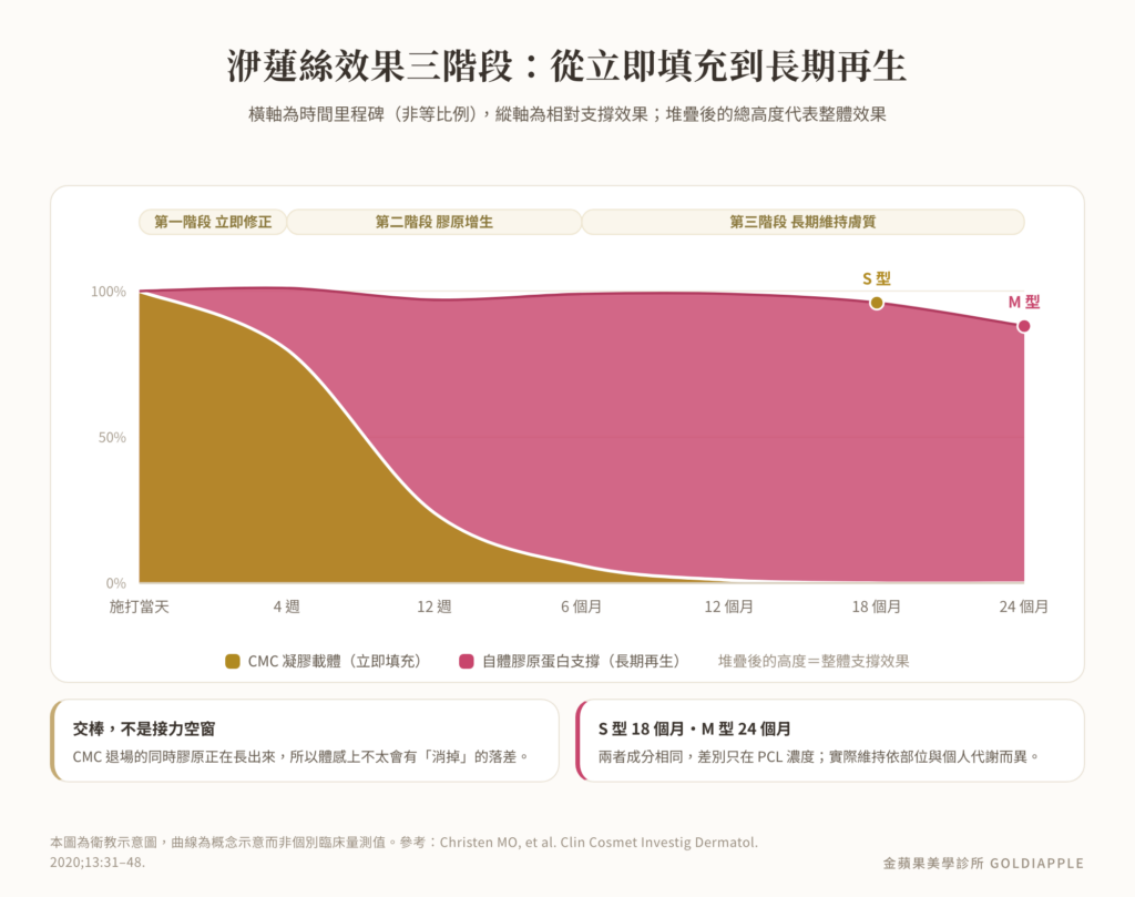 洢蓮絲效果三階段時間軸圖：CMC 立即填充交棒給自體膠原，S 型 18 個月、M 型 24 個月
