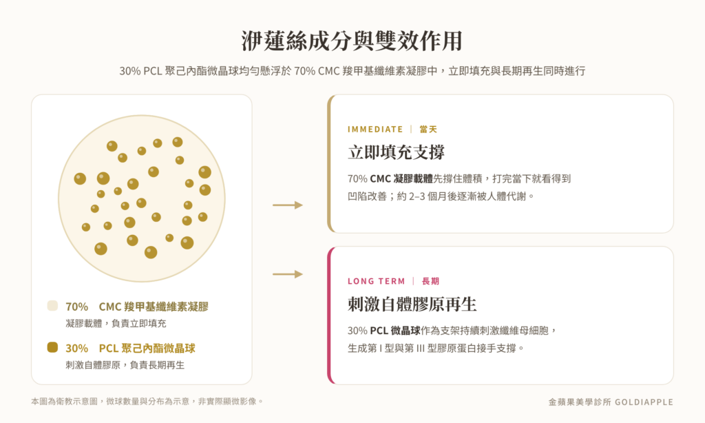 洢蓮絲成分示意圖：30% PCL 微晶球懸浮於 70% CMC 凝膠，立即填充與長期再生雙效作用